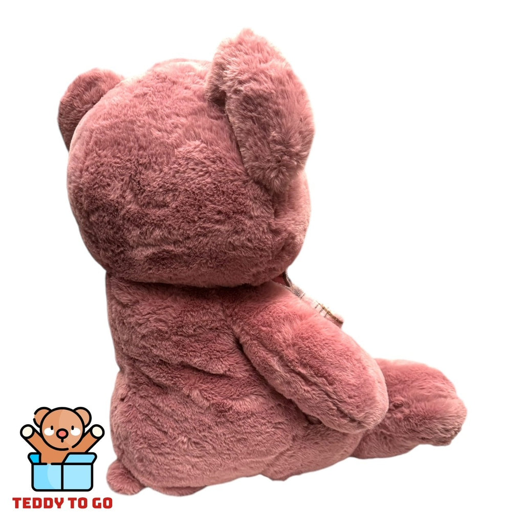 Teddybeer knuffel roze achterkant