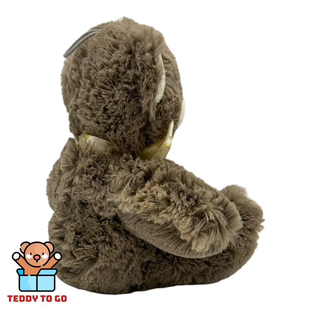 Bruine Teddybeer knuffel achterkant