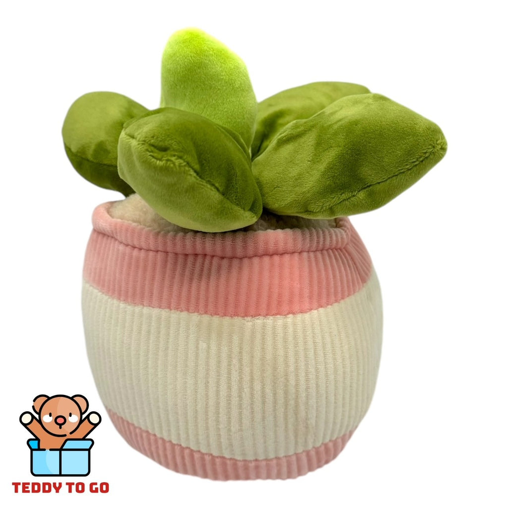 Kawaii Plant knuffel achterkant