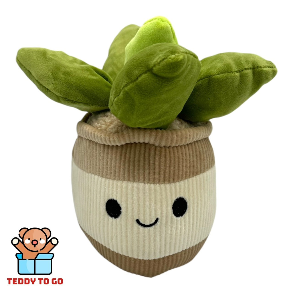 Kawaii Plant knuffel voorkant