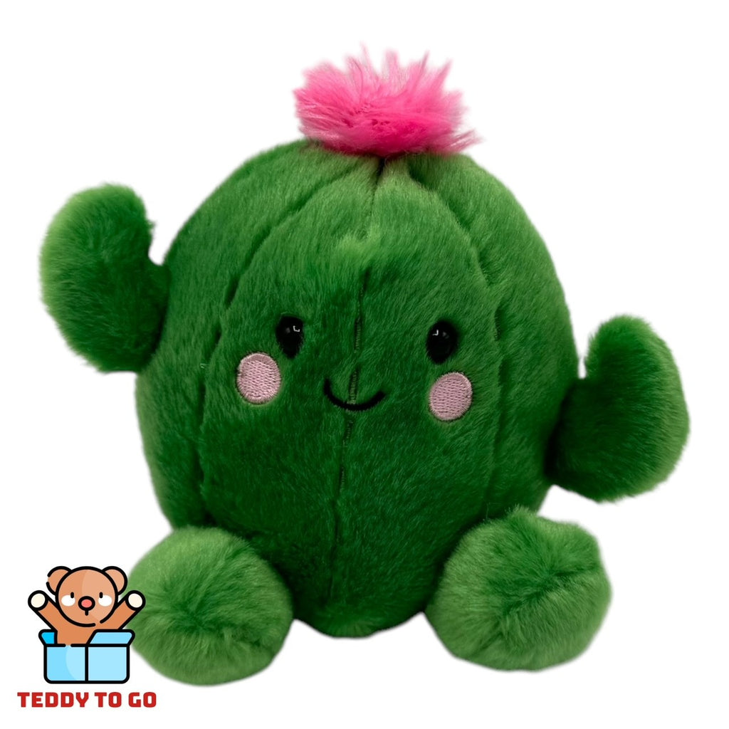 Palm Pals Cactus knuffel voorkant