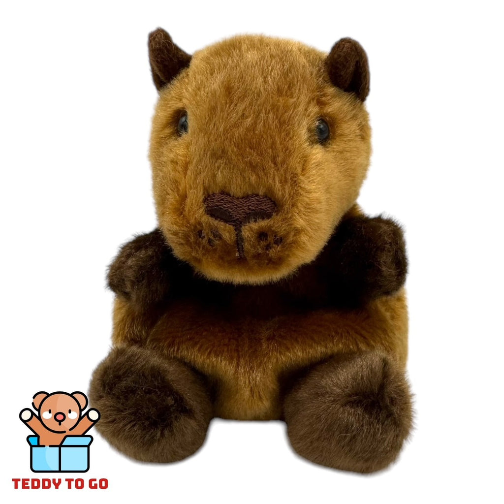 Palm Pals Capybara knuffel voorkant