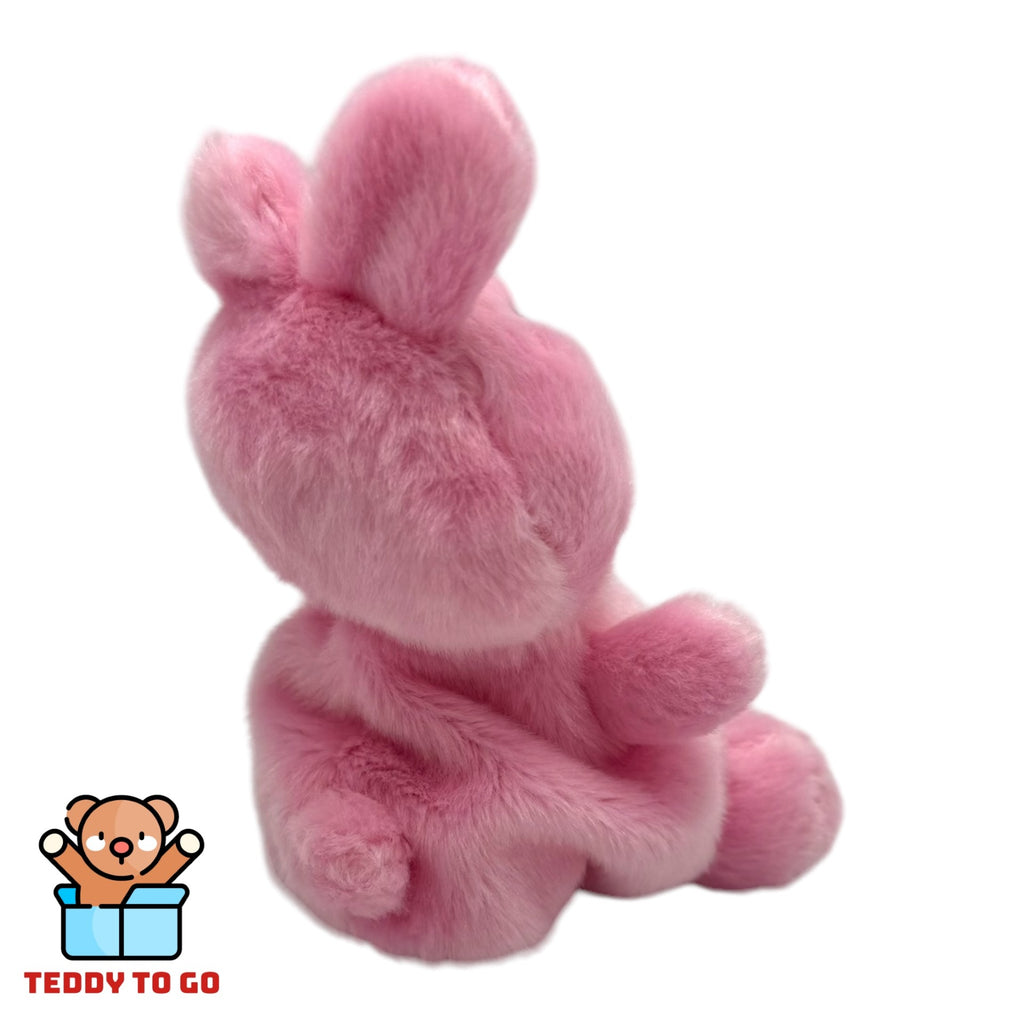 BTS Palm Pals BT21 Cooky knuffel achterkant