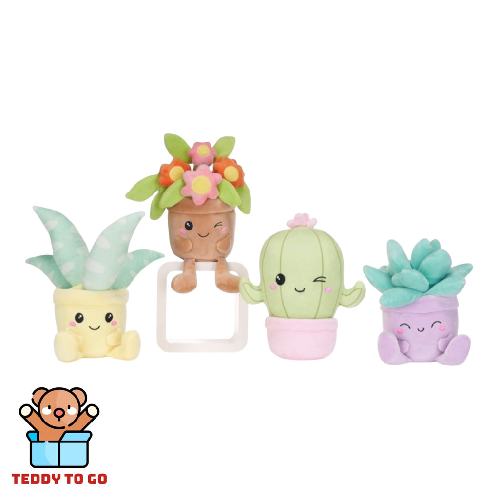 Kawaii Kuties Planten assortment
