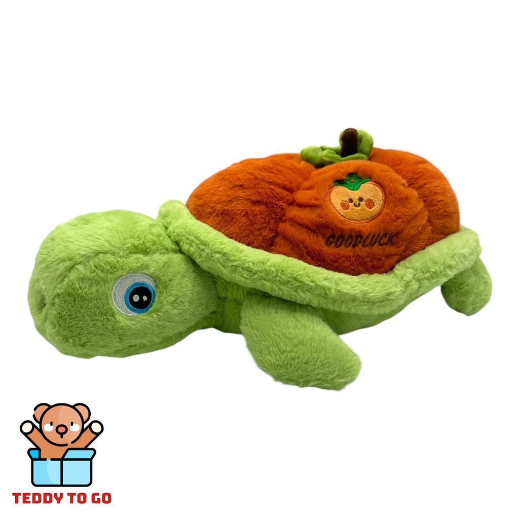 Schildpad knuffel voorkant