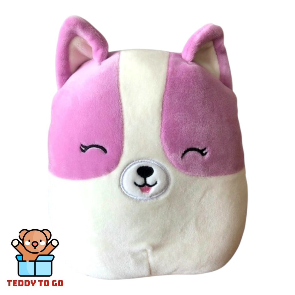 Squishmallows Candace the Corgi knuffel
